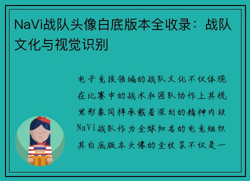 NaVi战队头像白底版本全收录：战队文化与视觉识别